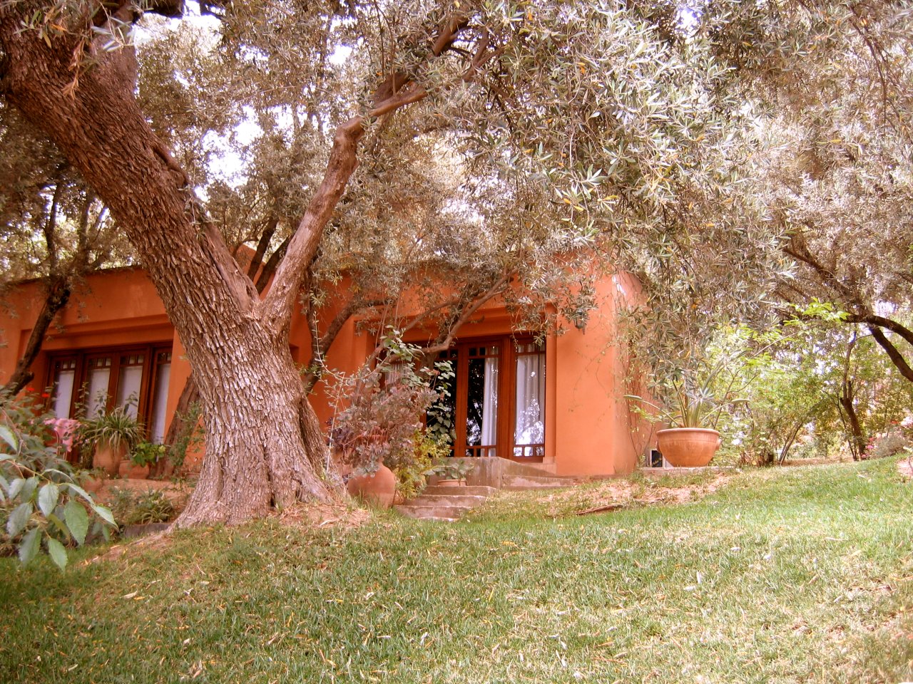 One of the Maroc Lodge Villa